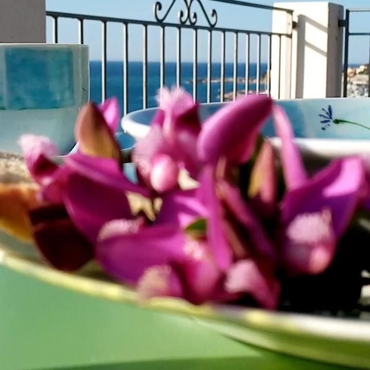 Agriturismo La Tuffatrice إمبيريا المظهر الخارجي الصورة