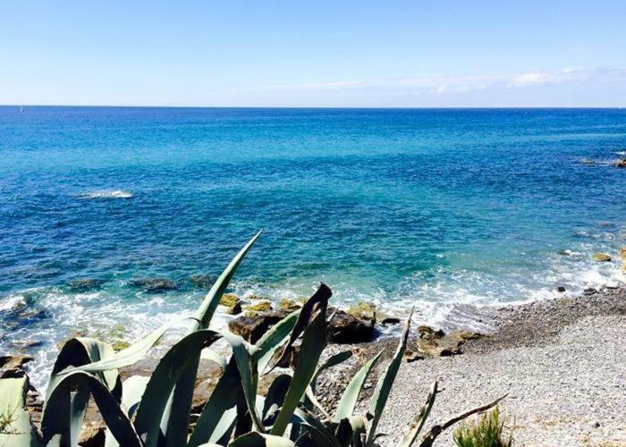 Agriturismo La Tuffatrice إمبيريا المظهر الخارجي الصورة